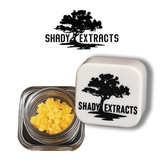 MSG Shady Extracts
