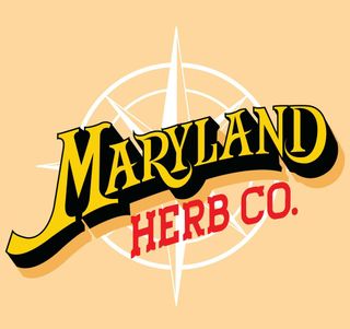 Super Lemon Haze MD Herb Co.