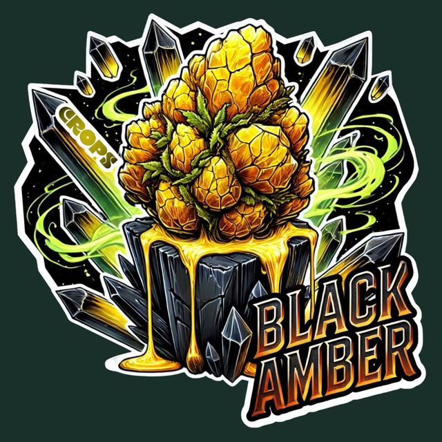 Black Amber Crops Black Amber Crops