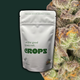 Orange Malt Crops Orange Malt Crops