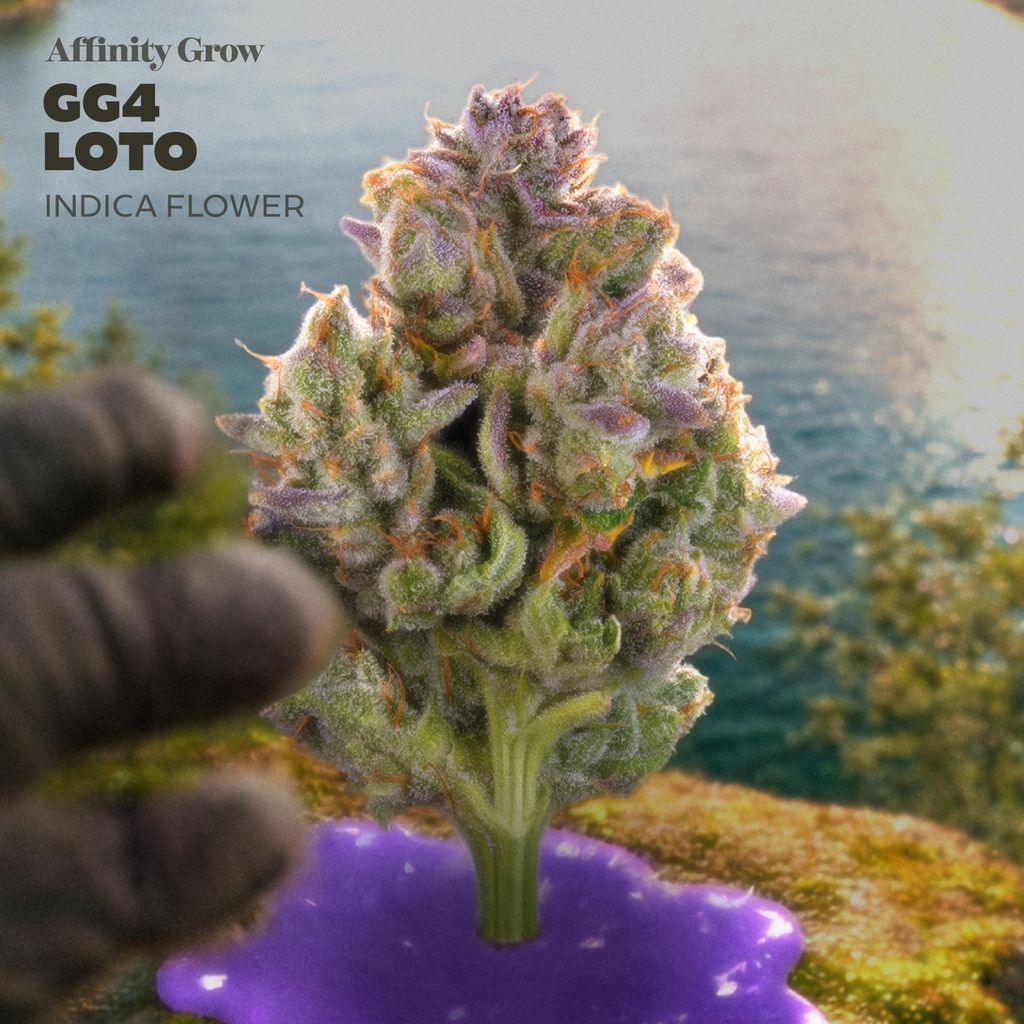 Affinity Original Glue LOTO 3.5g Flower