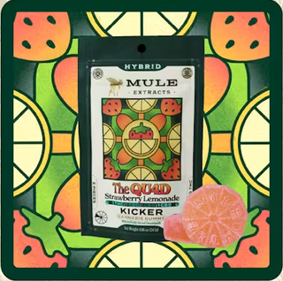 Strawberry Lemonade | 100mg THC : 100mg CBD : 100mg CBG : 100mg CBN 10Pk Mule Extracts