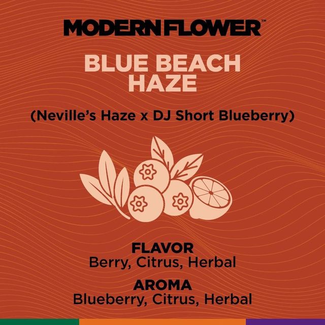 Blue Beach Haze Modern Flower Blue Beach Haze Modern Flower