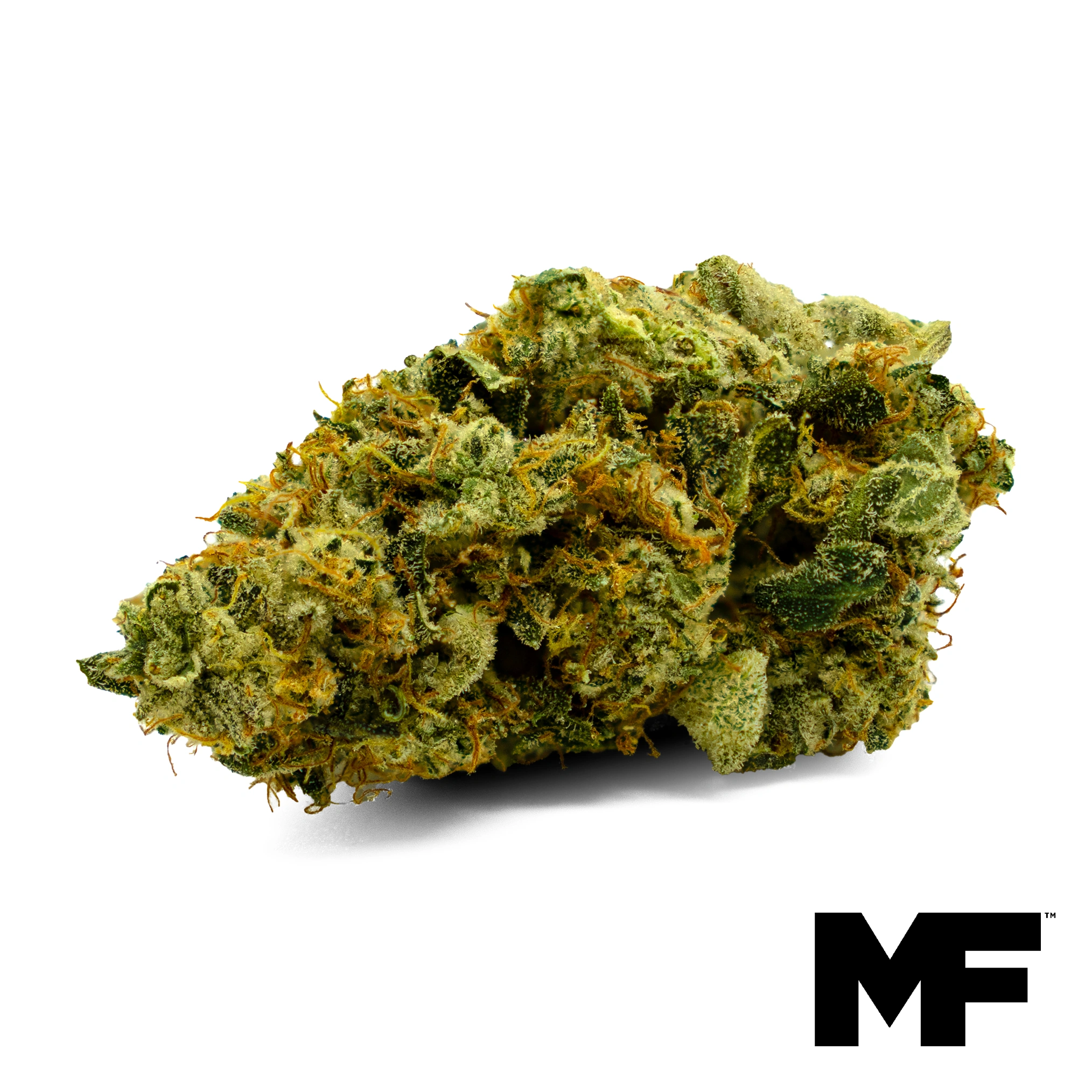 Marshmallow OG Modern Flower Marshmallow OG Modern Flower