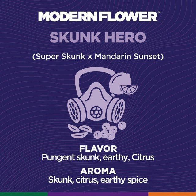 Skunk Hero Modern Flower Skunk Hero Modern Flower