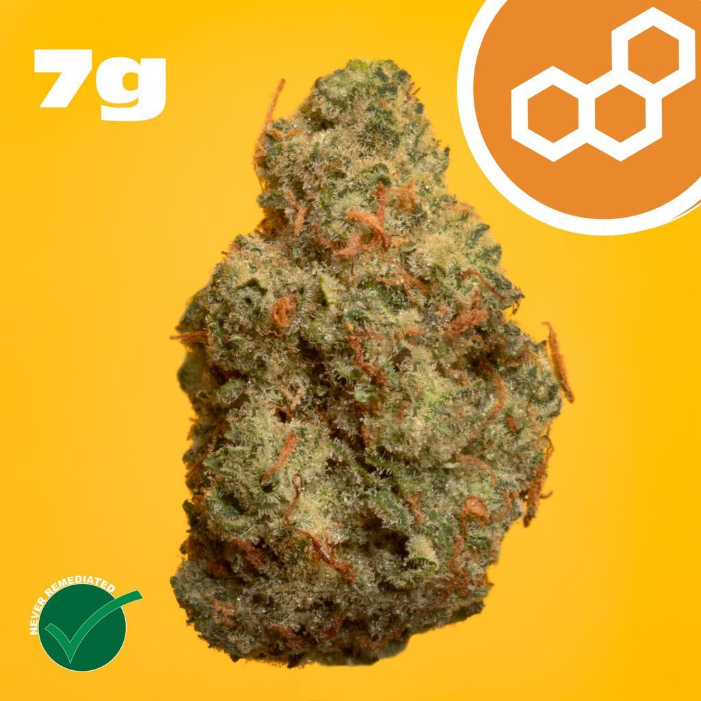 Theraplant Grand Pappy's Chillemon Flower, 7g