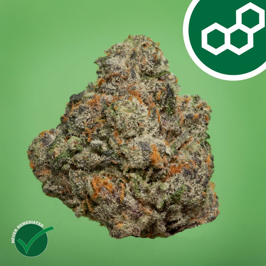 Theraplant Gas Face Flower, 28g