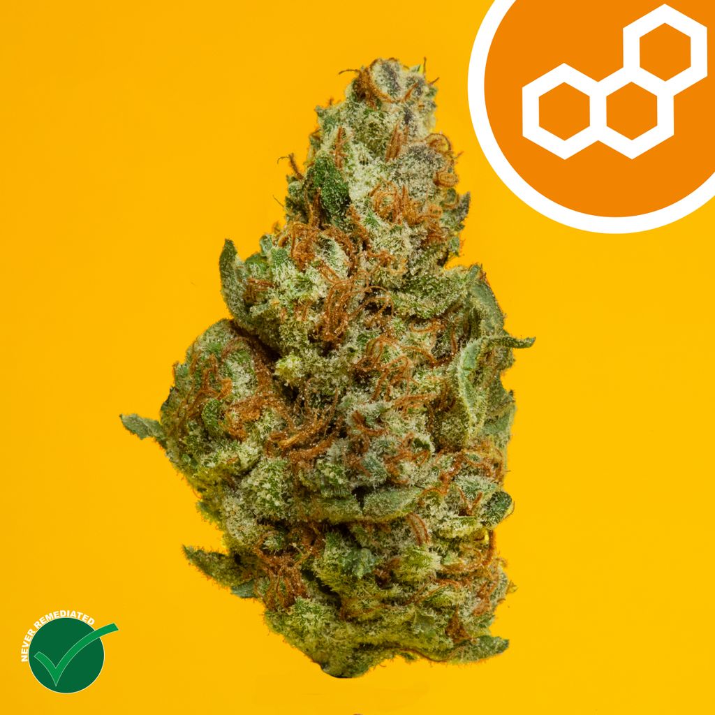 Theraplant Colorado Flo 3.5g Flower