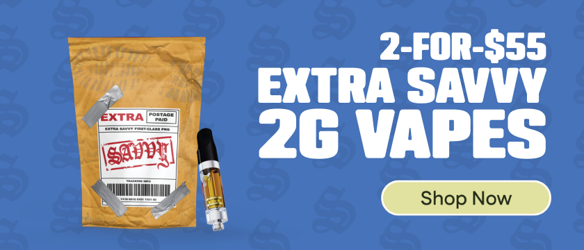 2-for-$55 Extra Savvy 2G Cartridges
