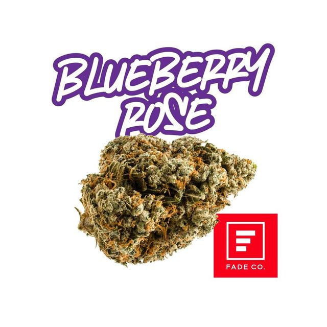 Blueberry Rose Fade Co. Blueberry Rose Fade Co.