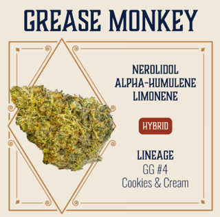 Grease Monkey Elevate