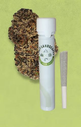 TK Headband Jerzy Landscapes