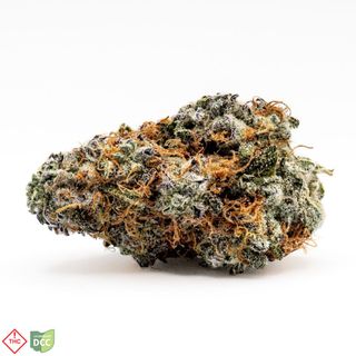 G-13 product