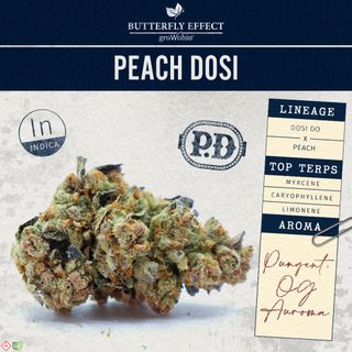 Peach Dosi product
