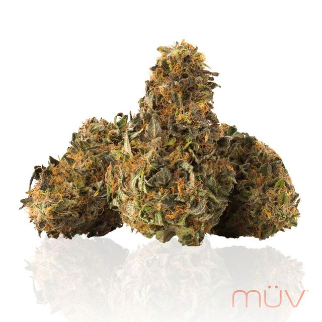 Snow Sweet x Jet Fuel Gelato MÜV
