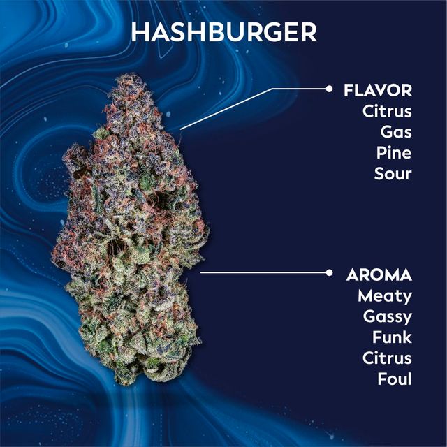 Hashburger Ozone Hashburger Ozone