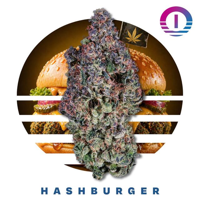 Hashburger Ozone Hashburger Ozone