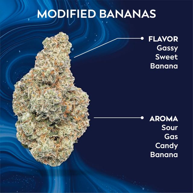 Modified Bananas Ozone Modified Bananas Ozone