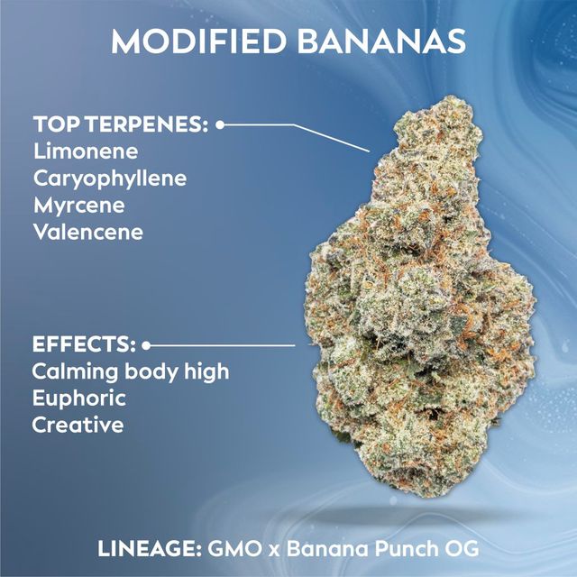 Modified Bananas Ozone Modified Bananas Ozone