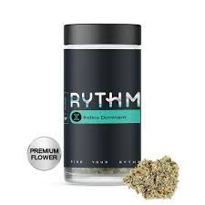 Gogurtz Rythm Gogurtz Rythm