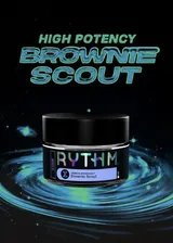 B Scout