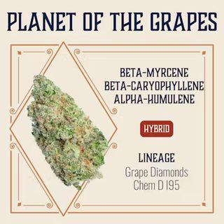 Cannabis Promo, Cannabis Sales, Cannabis Discounts, Cannabis on Sale, 40% Elevate 7g Popcorn 3