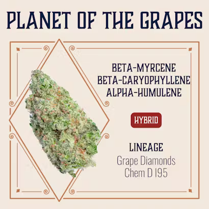 Planet Of The Grapes Elevate