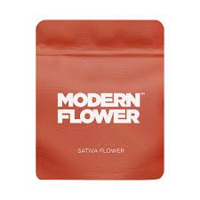 Blue Beach Haze Modern Flower