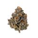 Lemon Cherry Gelato Good Looks Lemon Cherry Gelato Good Looks