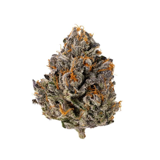 Lemon Cherry Gelato Good Looks Lemon Cherry Gelato Good Looks