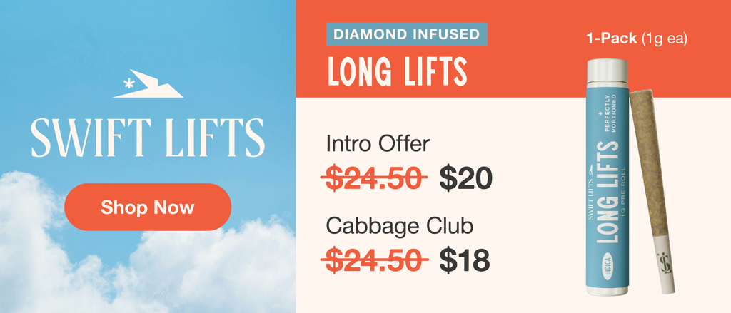$20 Diamond Infused Long Lifts Intro Price