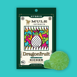 Dragonfruit Gummies | 100mg THC 100mg CBD 10pk Mule Extracts