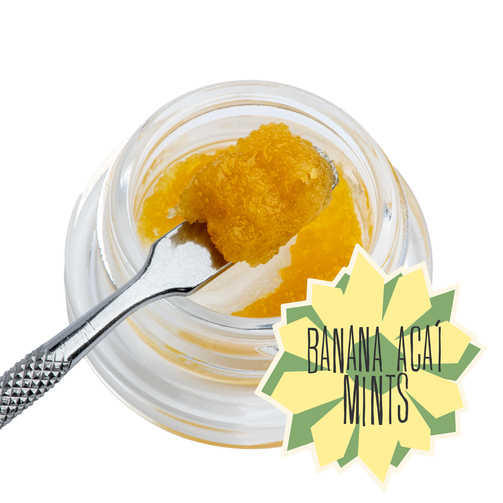 District Cannabis Banana Acai Mints Badder 1.0g Live