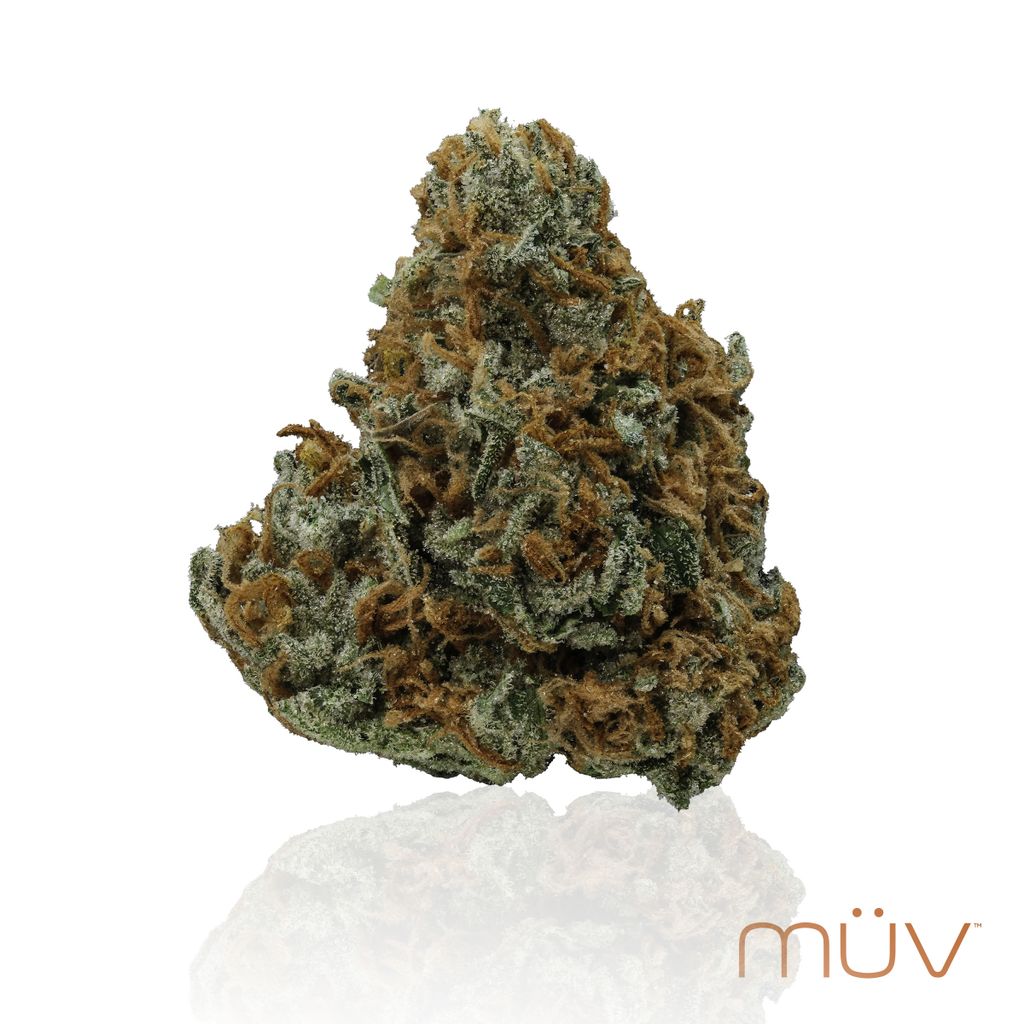 Casey Jones