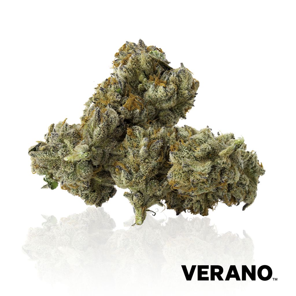 Gastro Pop, Verano