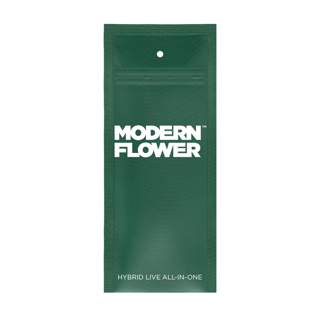 PNK CRTZ Modern Flower PNK CRTZ Modern Flower
