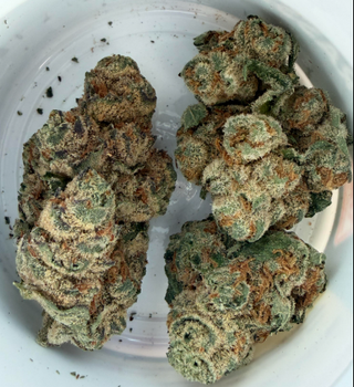 PB Bites | 28g Flower Unbranded.
