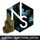 Wizard Spray #1 Natural Selections Wizard Spray #1 Natural Selections
