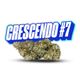 Crescendo Fade Co. Crescendo Fade Co.