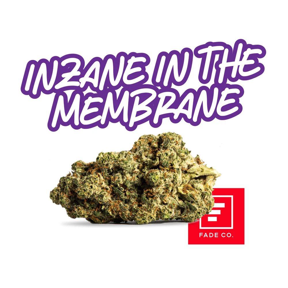 Inzane n' the Membrane Fade Co.
