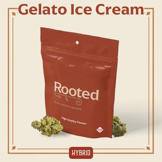 Gelato Ice Cream Rooted