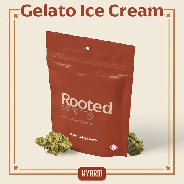 Gelato Ice Cream Rooted