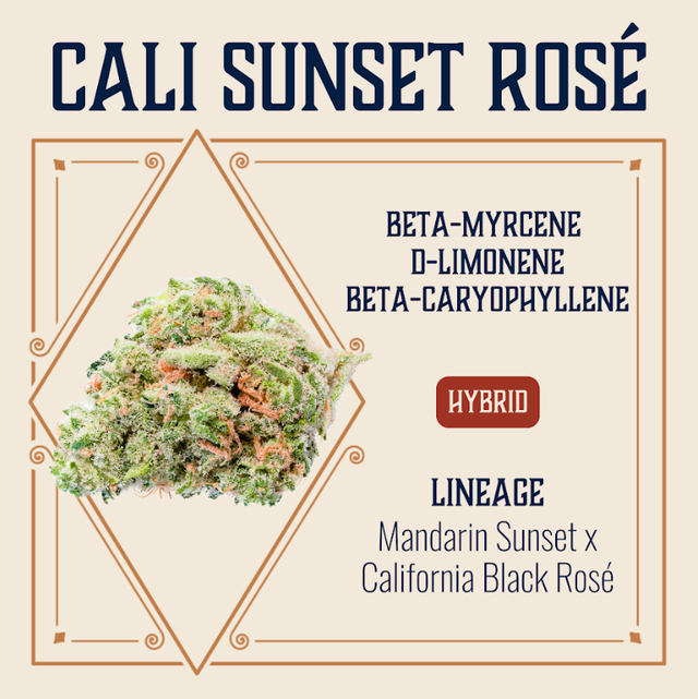 Cali Sunset Rosé Elevate