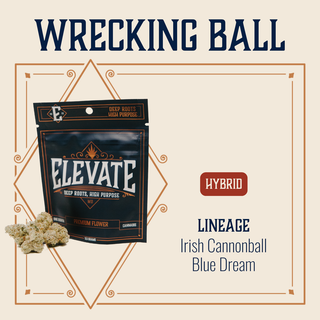 Wrecking Ball Elevate