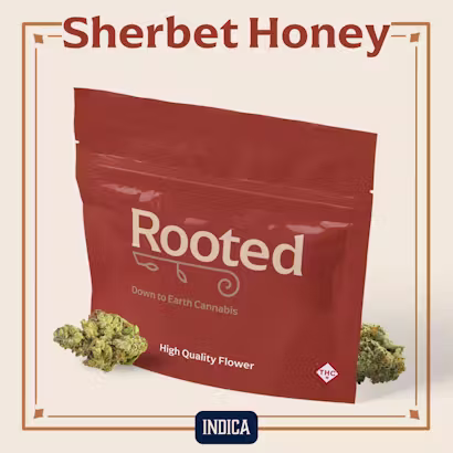 Sherbet Honey Rooted