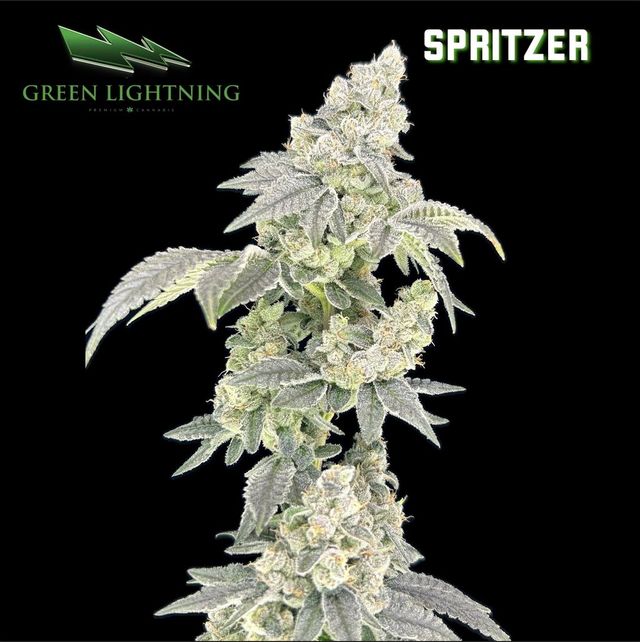 Spritzer Green Lightning