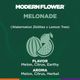 Melonade Modern Flower Melonade Modern Flower