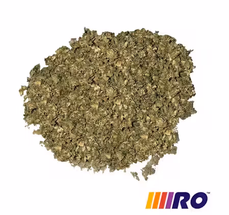 Singapore Sling #9 x Sour Diesel R.O. Singapore Sling #9 x Sour Diesel R.O.