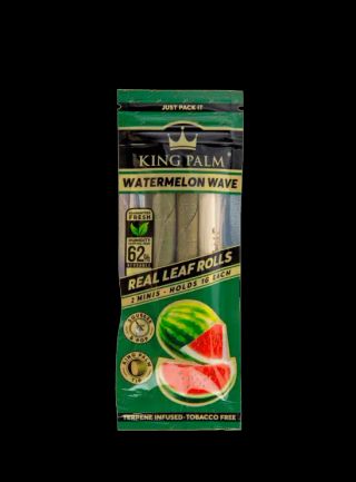 Mini Rolls | Watermelon Wave King Palm
