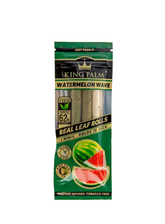 Mini Rolls | Watermelon Wave King Palm
